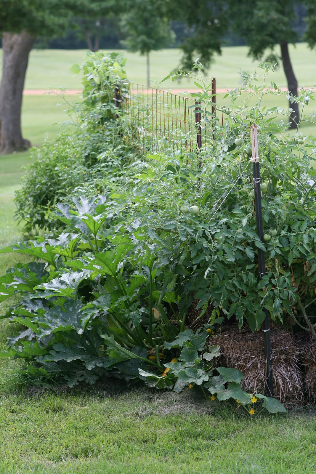 Organic Straw Bale Gardening Just Got Better