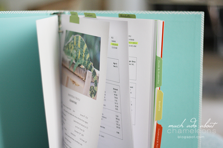 { Updated } Keeping Organized & Useful Reptile Records Much Ado About