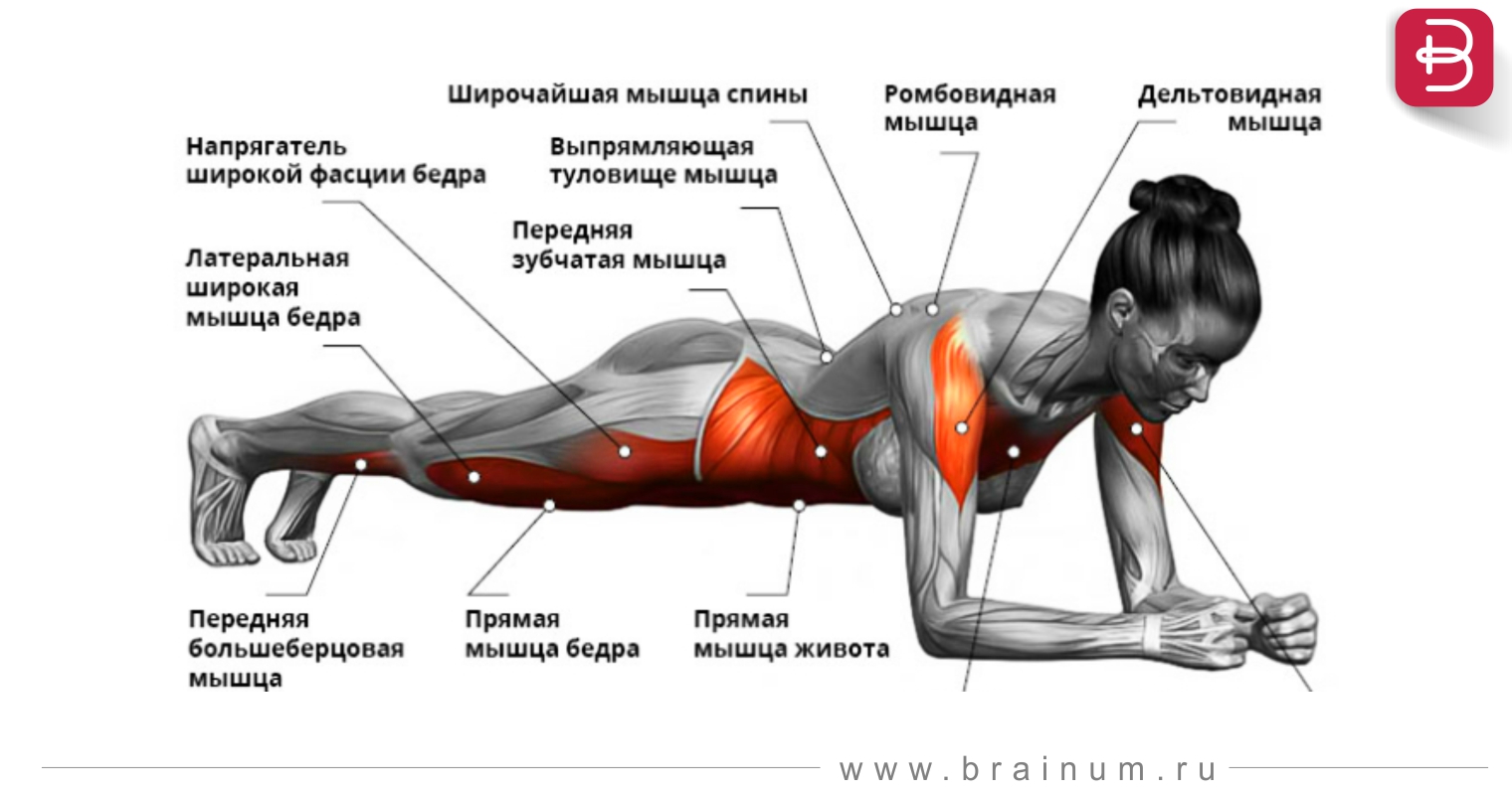 Дайте Эротика На Качание