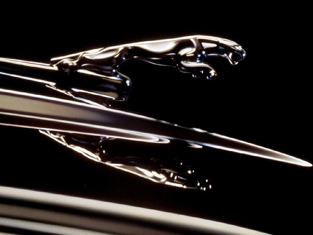 http://4.bp.blogspot.com/-bblXCQBttOo/T9DmwSeKMtI/AAAAAAAAAlw/aWhtmlq8AnU/s1600/jaguar-wallpaper-12-.jpg