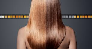 L I P P Y V I B E S 2 Ingredient Diy Hair Toner For Brassy