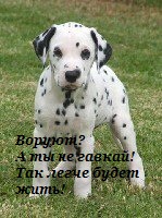 а у тебя воруют? а у тебя воруют?