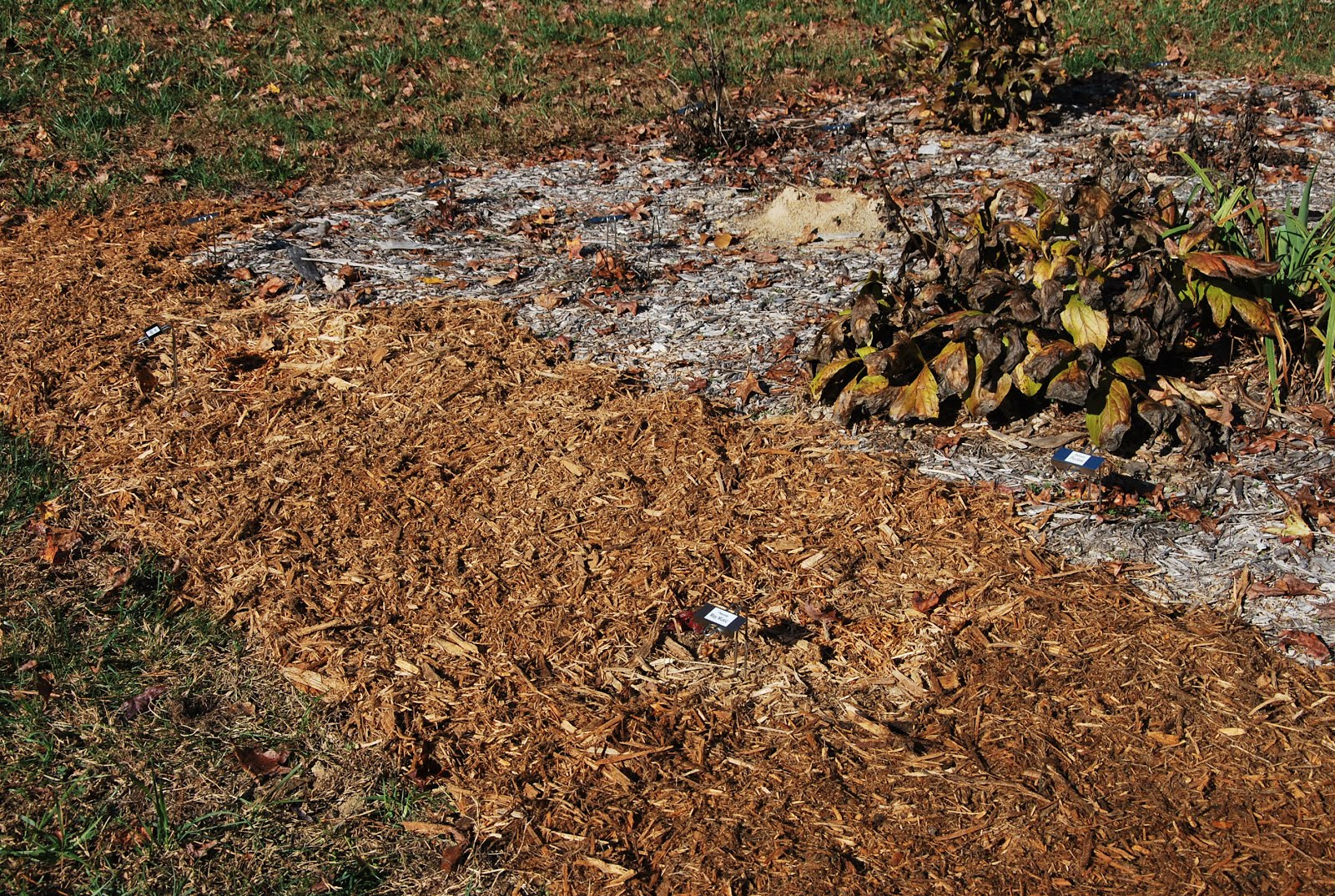 Southern Peony 2012 Peony Mulch with Paper Bag Weed Barrier