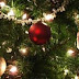 [ΗΠΕΙΡΟΣ]Και «δέντρο» και «δάσος» στην Πλατεία των Ιωαννίνων .. σήμερα  η έναρξη των Χριστουγεννιάτικων εκδηλώσεων !