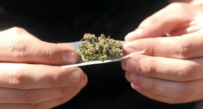proibição da maconha proibição da maconha