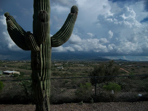 Monsoon storm headed our way from Sierra Vista