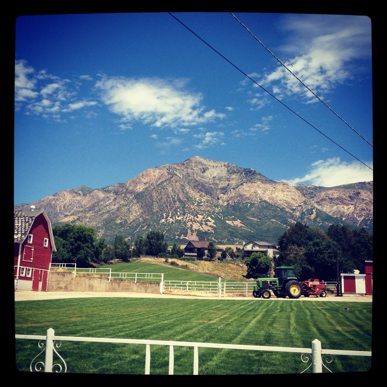 YOGA. RUN. WORK. PLAY. THINK. LIVE. NATURAL. The Great Ben Lomond Hike