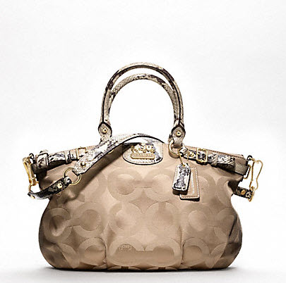ready stock coach