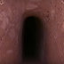 A Man Isolated Himself From Society For Over 25 Years In The Desert. What He Reveals Inside This Cave Is Incredible!