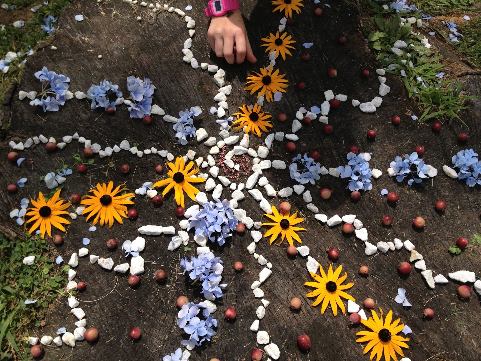 River City Art * Collinsville: Kids Nature Mandalas