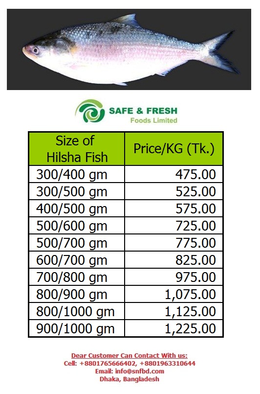 Fresh Hilsa Fish in Competitive Prices