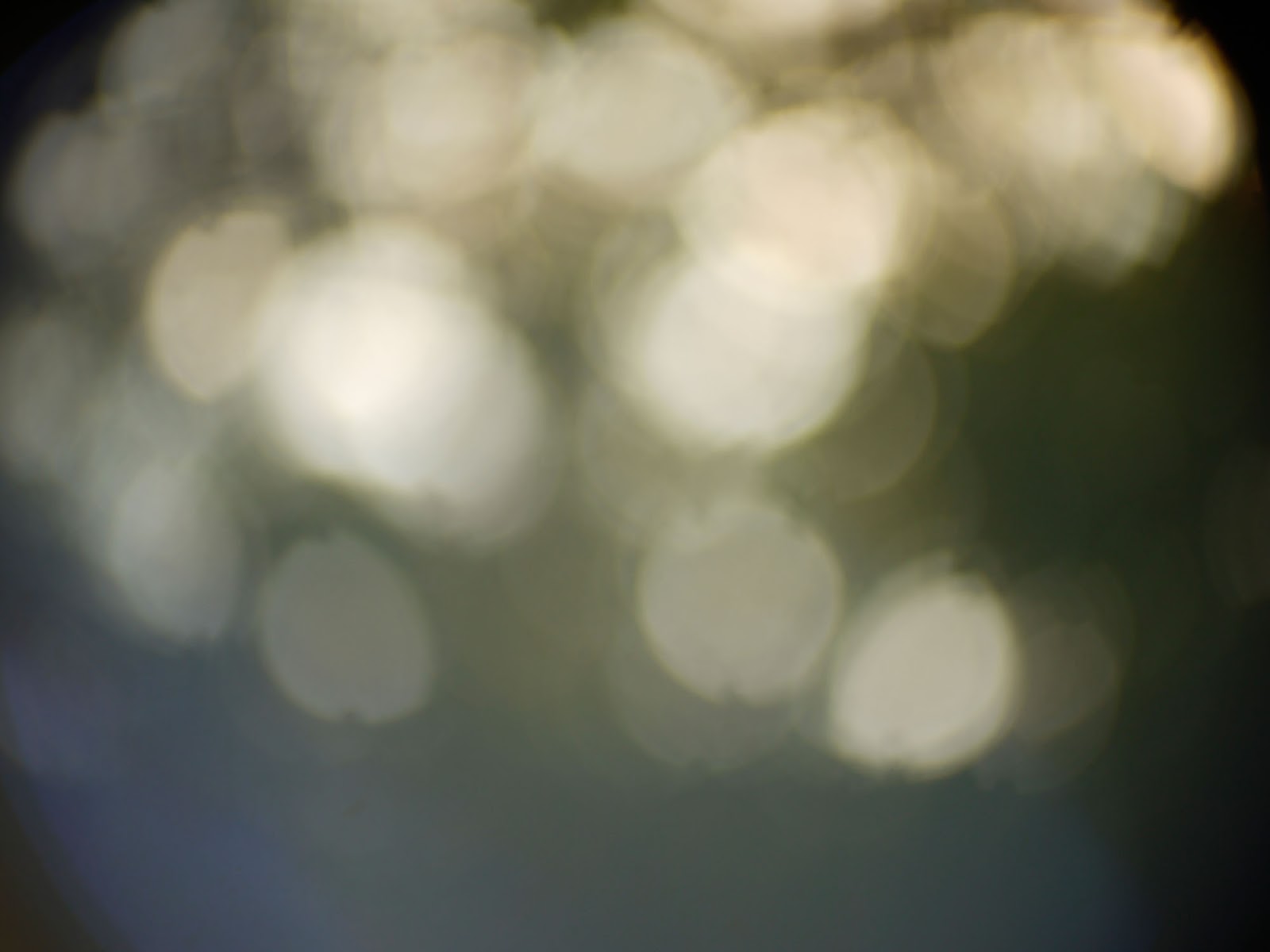 Canon V6x17 17-102/2.0 C-mount - 102mm @2.0 - irregular circle bokeh. Canon V6x17 17-102/2.0 C-mount - 102mm @2.0 - irregular circle bokeh.