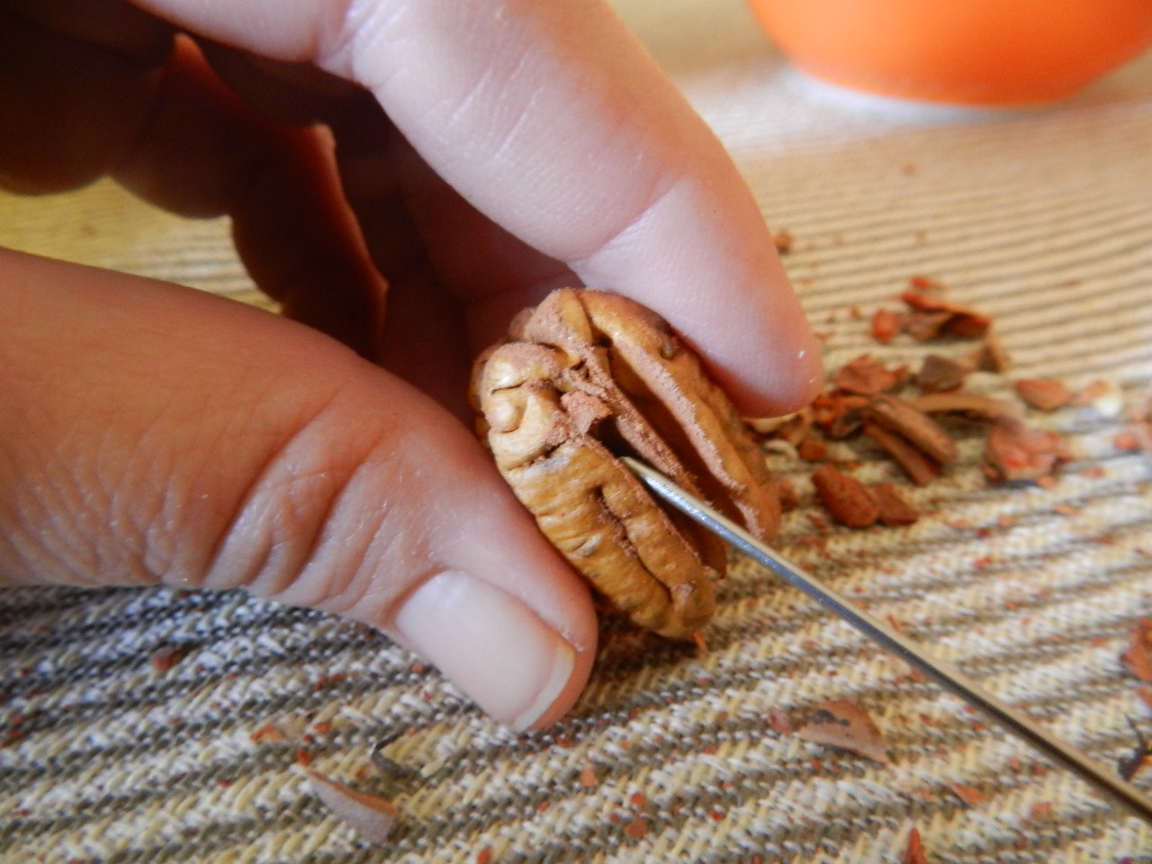 Collecting and Shelling Pecans