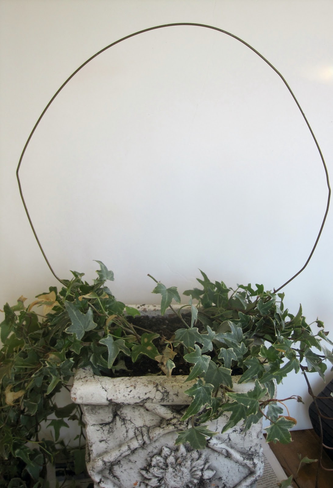 Simple Details DIY ivy topiary