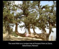 Allah+Ka+Mojza+in+Urdu ... - Muslim - The Quran and Hadith - Books and Articles: Islamic Mojza