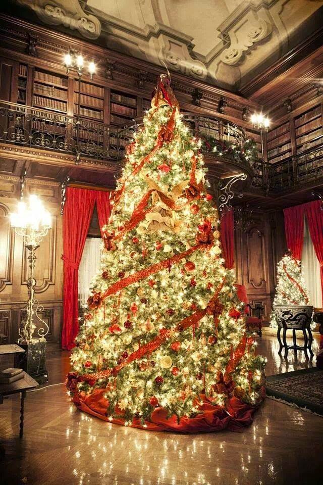 these photos i captured last year while visiting the biltmore house with my husband and son as many times as ive been throughout the yearsevery time i - Professional Christmas Decorators these photos i captured last year while visiting the biltmore house with my husband and son as many times as ive been throughout the yearsevery time i - Professional Christmas Decorators