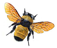 clip art black and yellow bumble bee