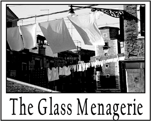 The glass menagerie essay topics