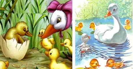 Texto - O Patinho Feio - ptscribdcom