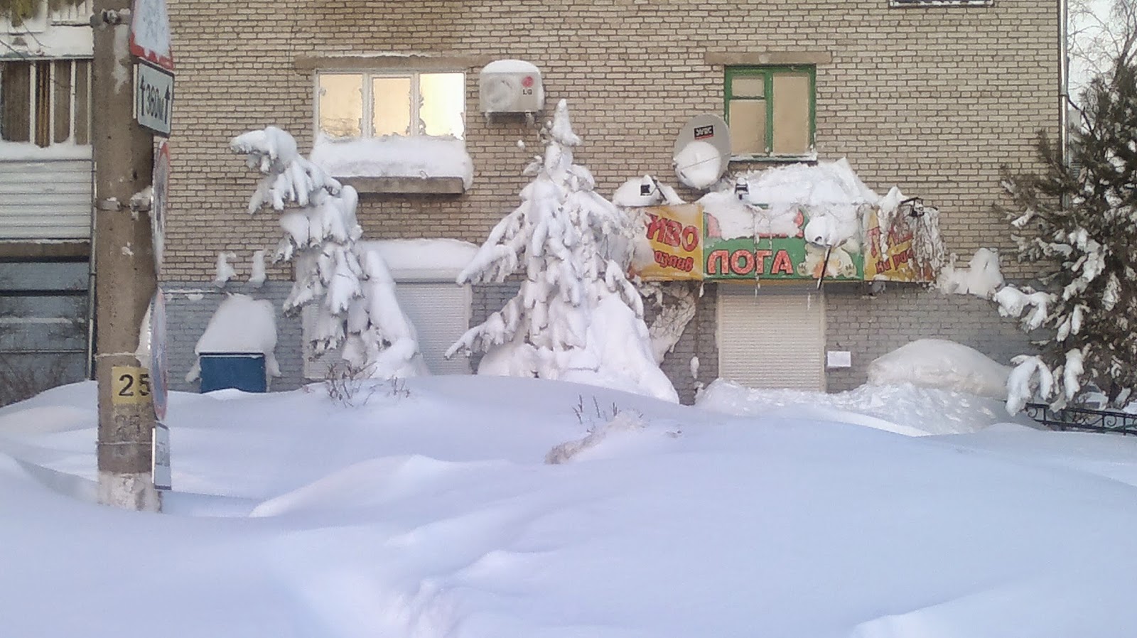 Район Оптики окунул в зимнюю сказку, жаль, что без Деда Мороза правда:-) Ели в снегу