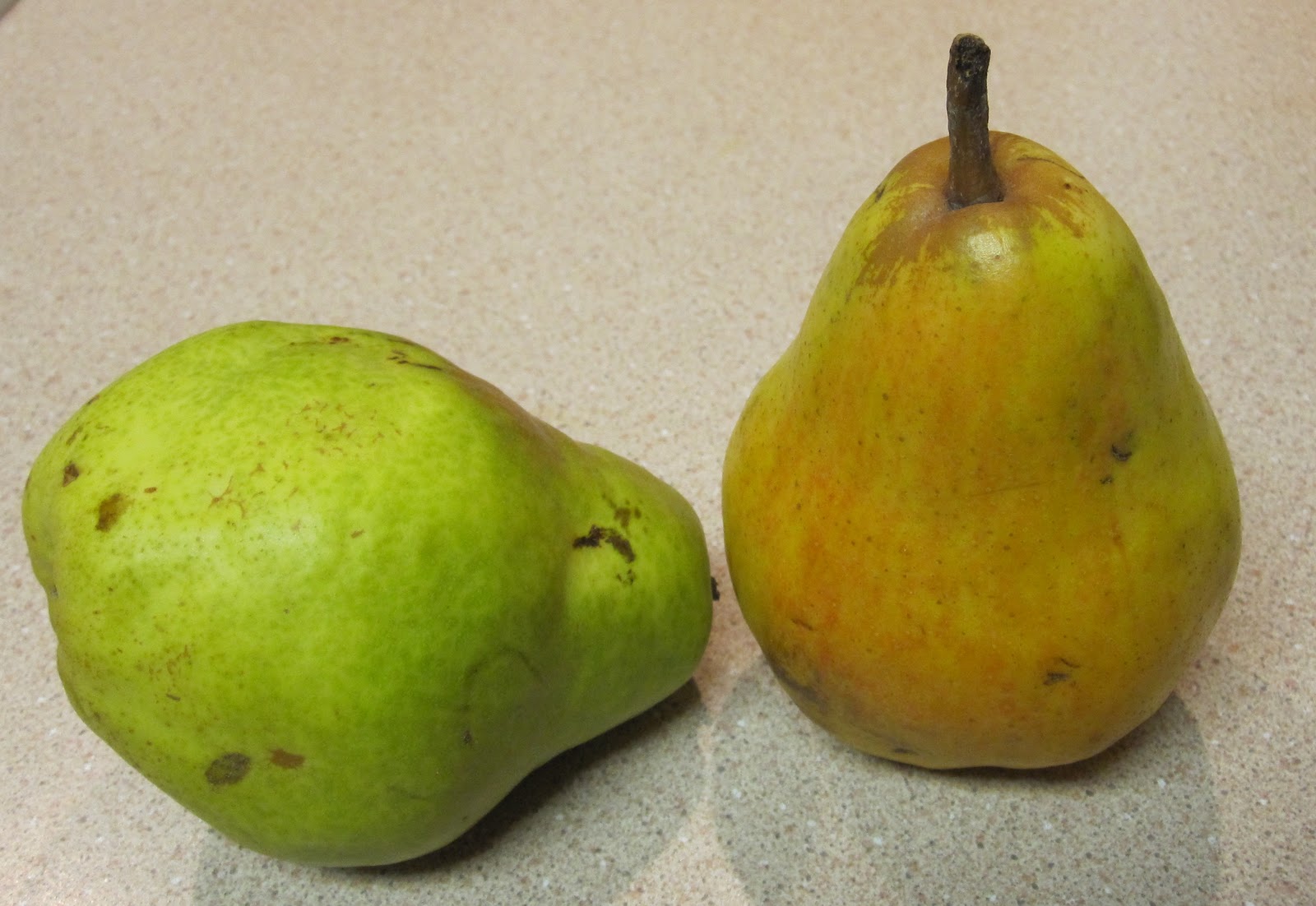 Cannundrums Pears Asian, Korean, Ya, Fragrant, Bartlett, Red Bartlett