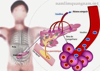 [Image: C%C3%A1c%2Btri%E1%BB%87u%2Bch%E1%BB%A9ng...8B%2B1.jpg]