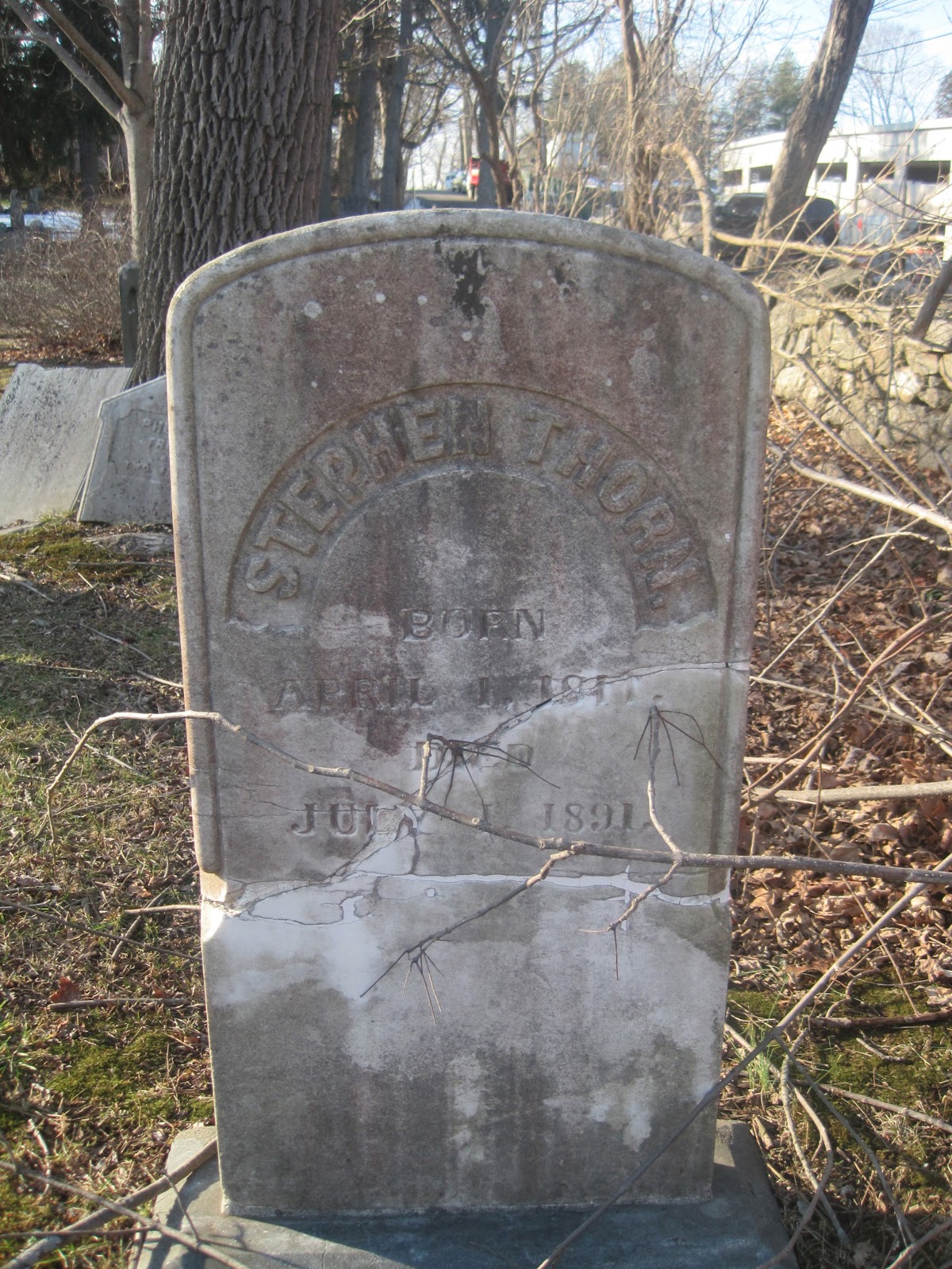 The Episcopal Cemetery Project 19 The Thorns