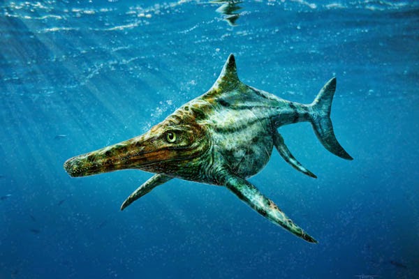reptil_gigante_escocia