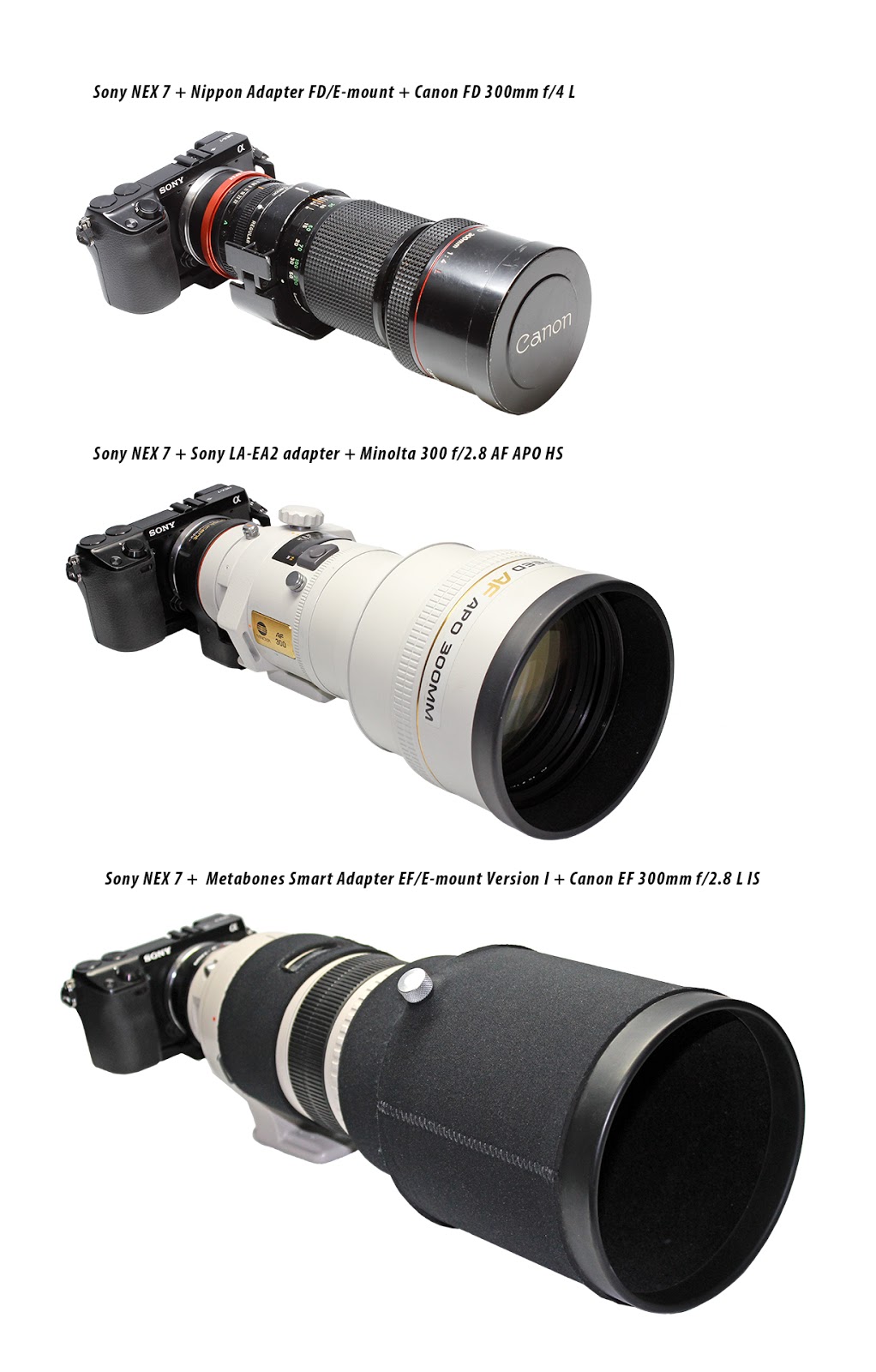 Minolta AF 300 f2.8 APO G HS, Canon EF 300 f2.8 L IS, Canon FD 300 