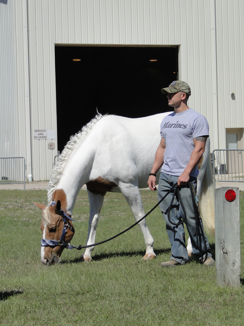 Hilary EQotW Jacksonville Equestrian Center