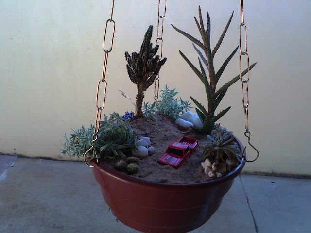 mini jardim cactos suculentas:com Cactos e Suculentas.: Mini Jardim Temático Suspenso de Cactos mini jardim cactos suculentas:com Cactos e Suculentas.: Mini Jardim Temático Suspenso de Cactos