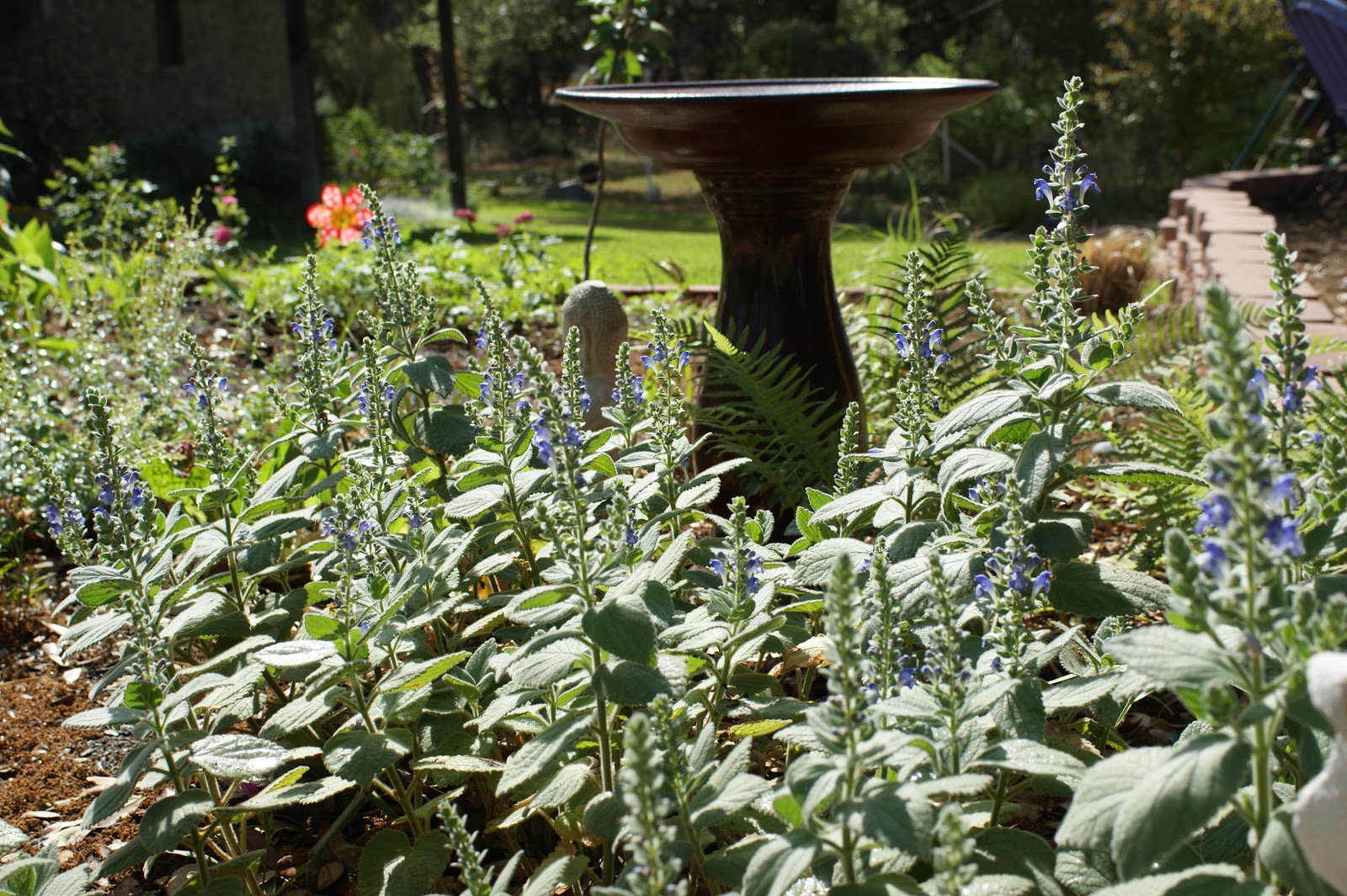 these allow you to place water right where your plants need it and virtually