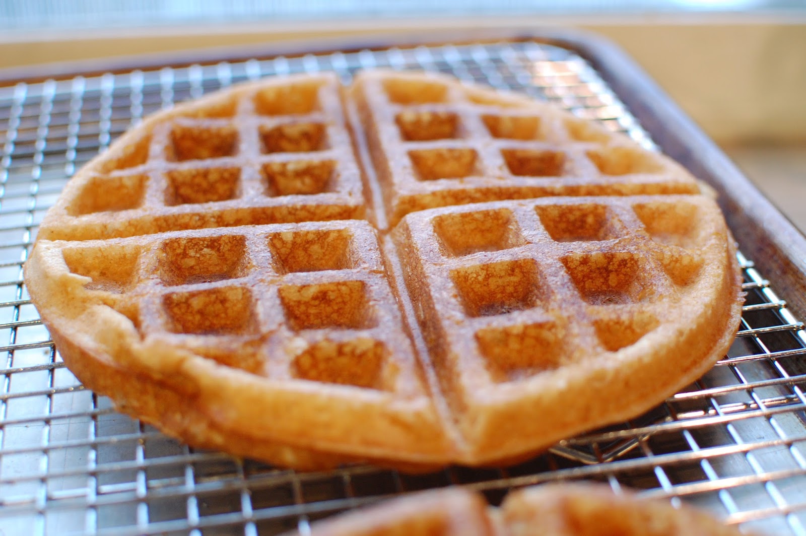 Kitchen Curiosities and more... Whole Wheat Waffles with Protein Powder
