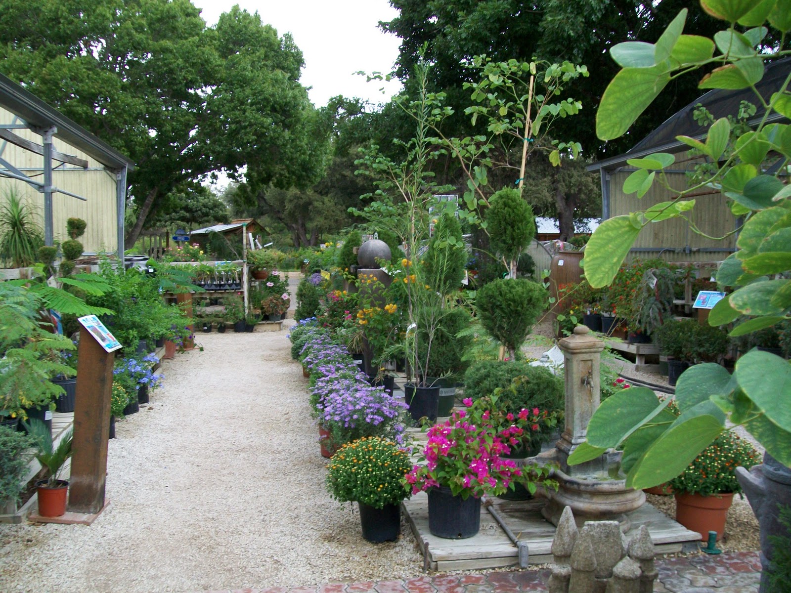 Rock-Oak-Deer: Somewhere over the Rainbow (Gardens) #3