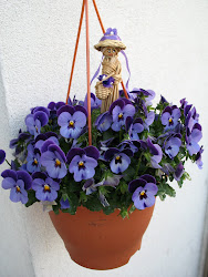 Pansè viola