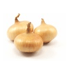 Onions Onions