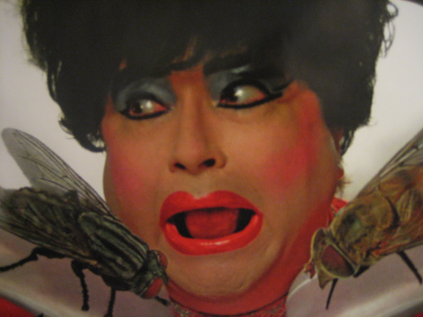 Tales and Truths from the Great Northwest Dina Martina The Real