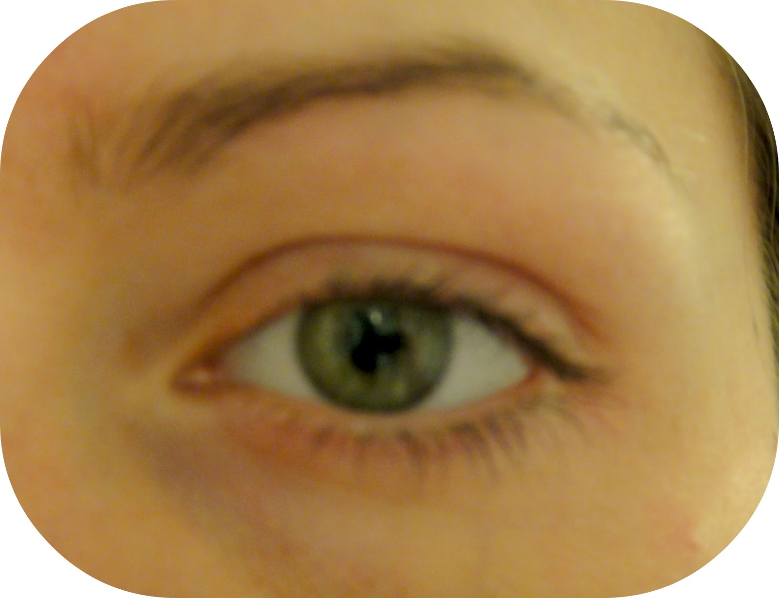 Julienne Professional 15ml Eyelash Eyebrow Dye Tint Midnight black Eye Lash Tint eBay