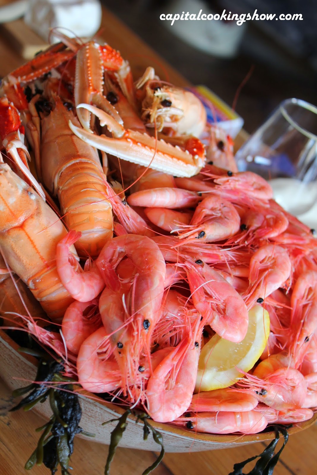 Capital Cooking with Lauren DeSantis Best Seafood in DC