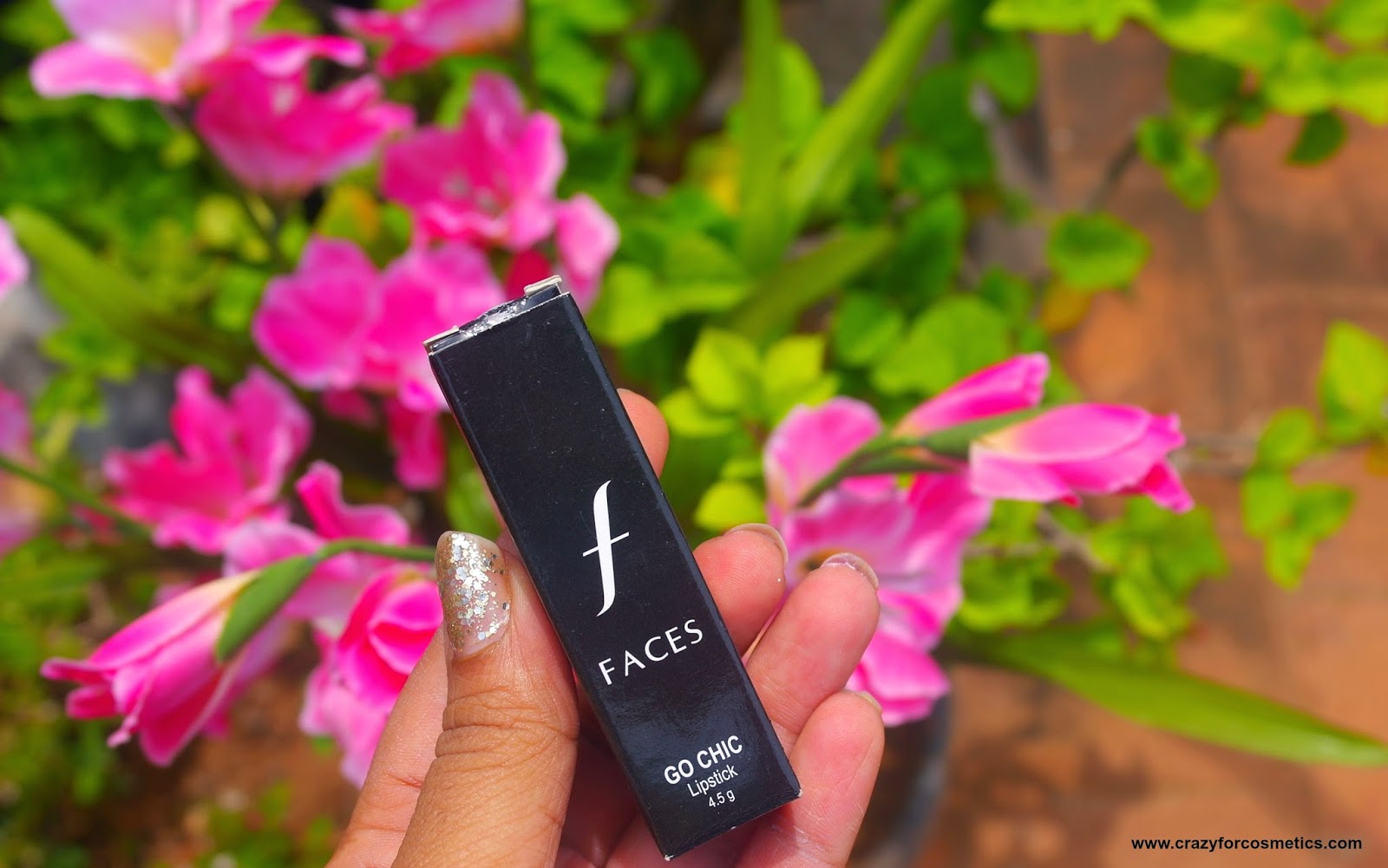 Affordable Lipstick Faces Canada Go Chic Lipstick in 421 Rock Solid