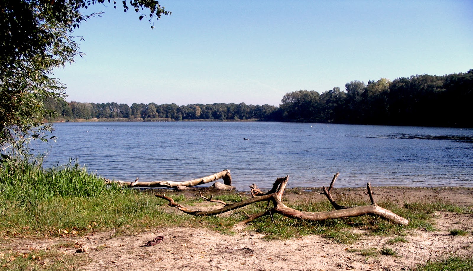 Weert en natuur “IJzeren Man” natuur en recreatiegebied