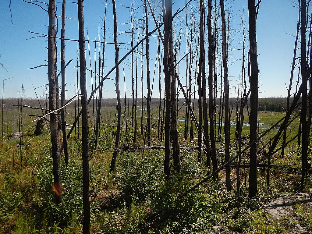 American Grouch Hiking the Boundary Waters Canoe Area Wilderness