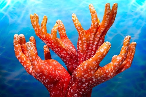 17-Corals-Quadrato-Guido-Daniele-Painting-Animals-on-Hands-www-designstack-co