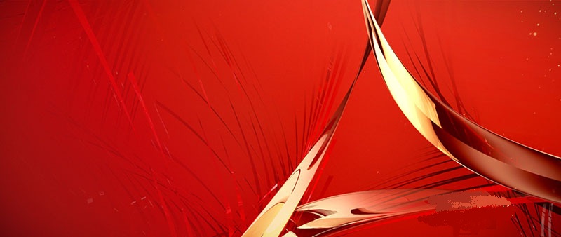 adobe acrobat 11 download free