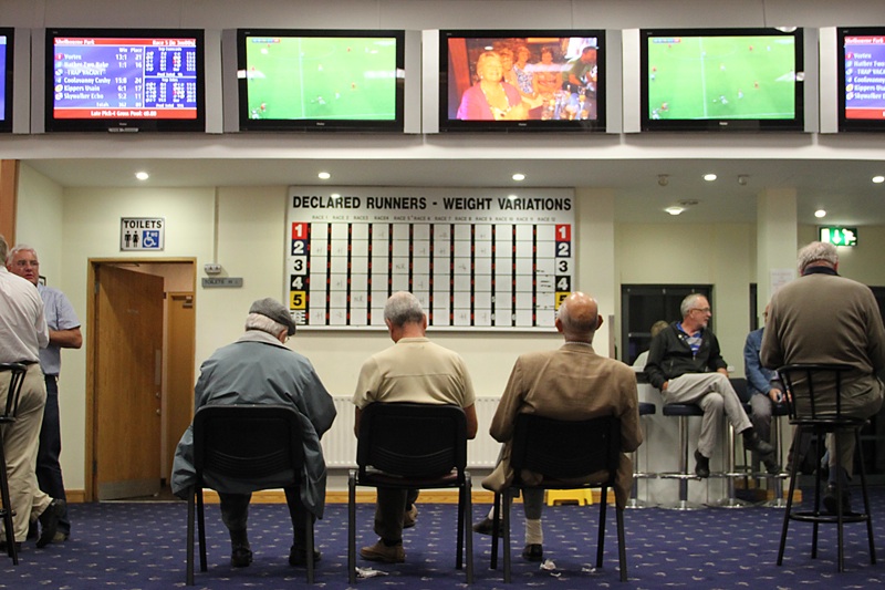 Image Contact Les courses de lévriers, une grande passion des irlandais