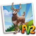 Pere David's Deer (baby ,adult,prized)