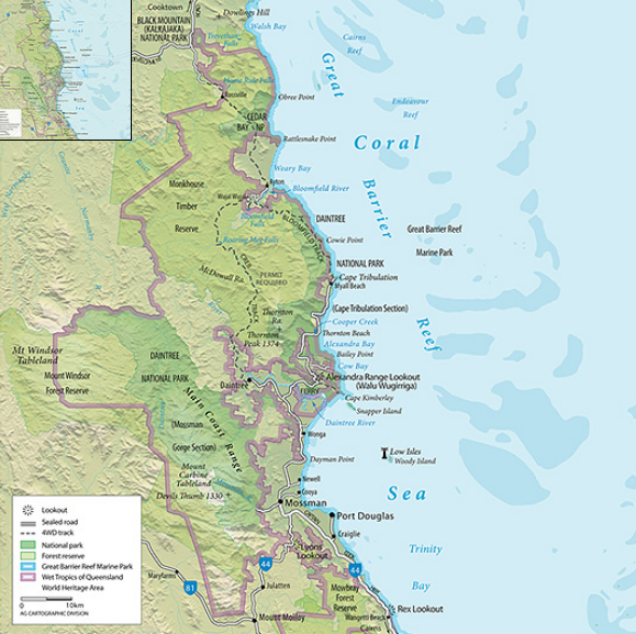 The Daintree Rainforest: Welcome to the World's Oldest Forest!