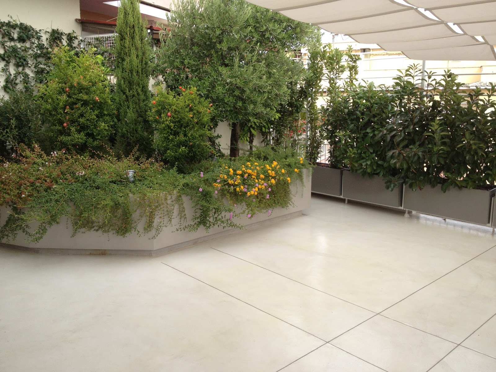 Impermeabilizzazioni e pavimenti in resina: pavimenti decorativi Pavimento decorazione Terrazzo