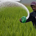 Revival Of Fertilizer Plants