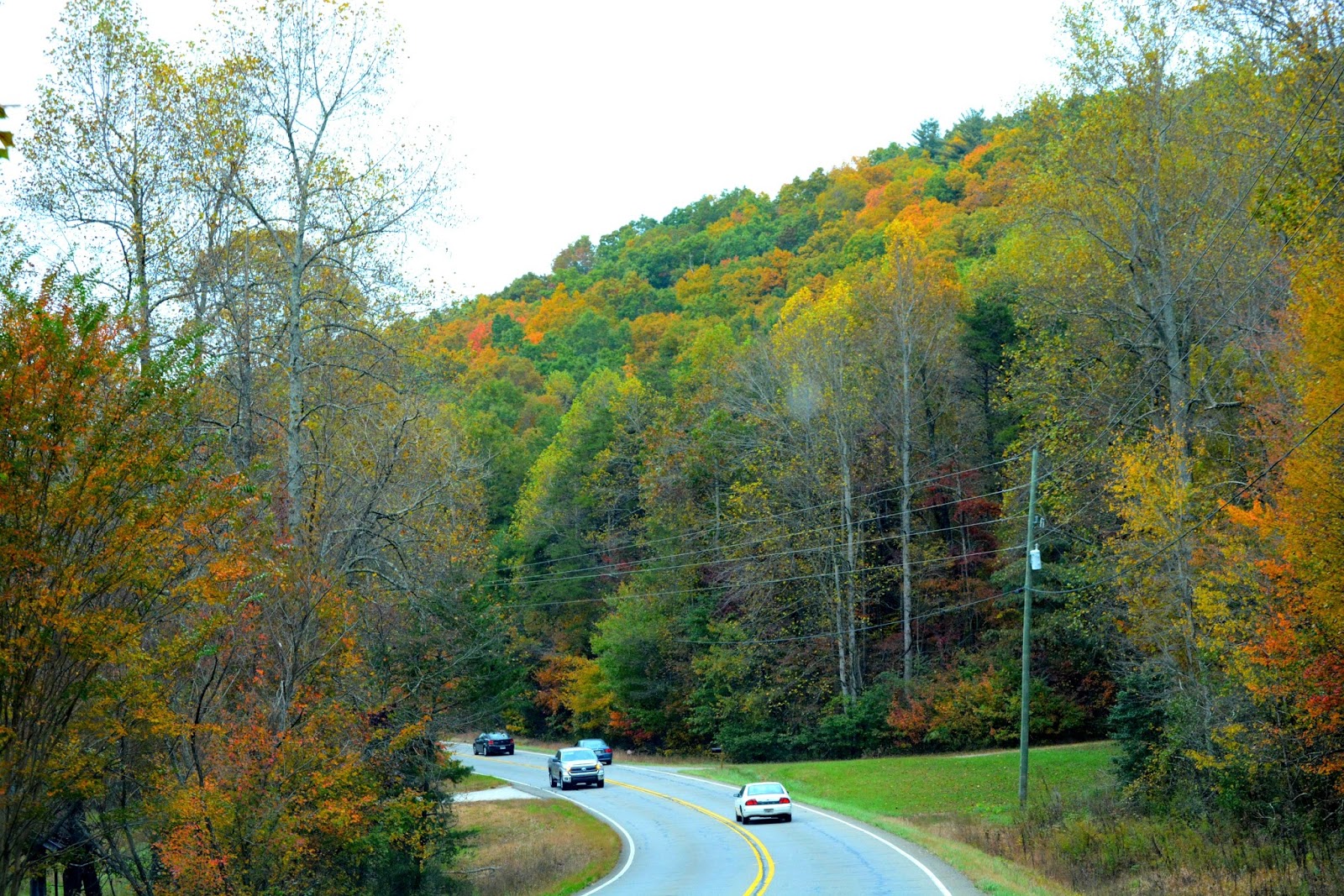 A foodie's travelogue 2 Apple Picking at Ellijay, Love is